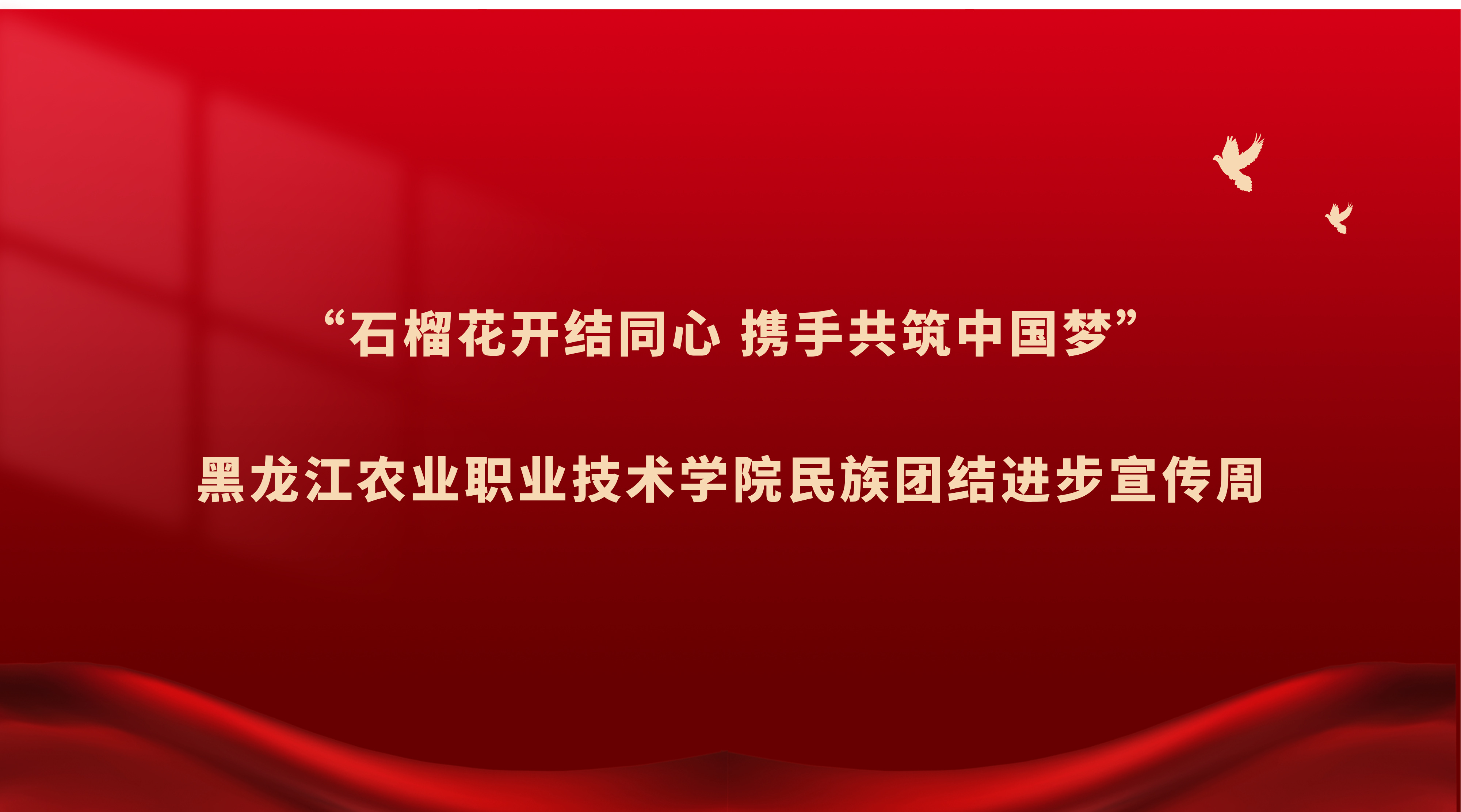 团结进步宣传周